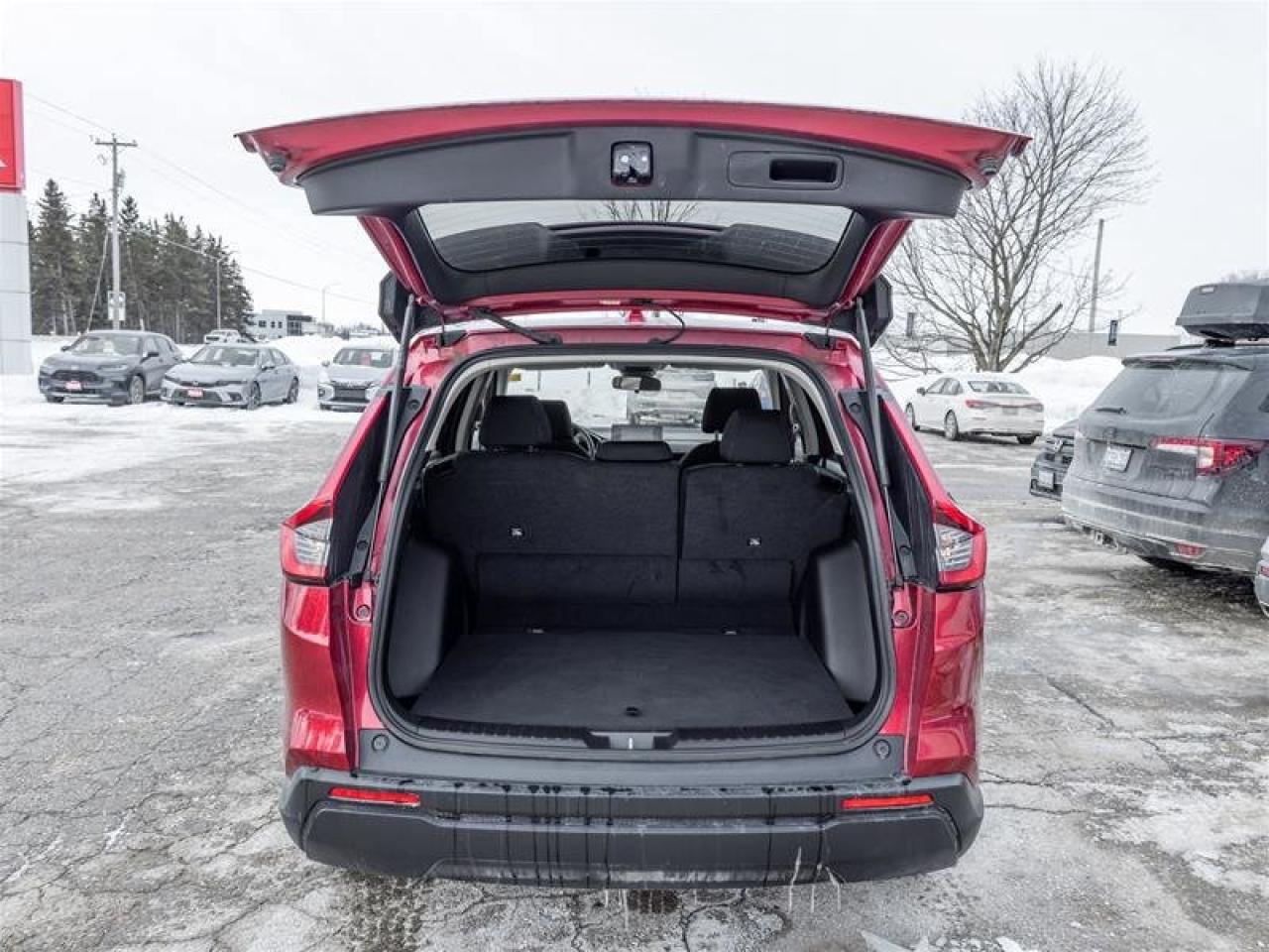 2025 Honda CR-V LX Photo