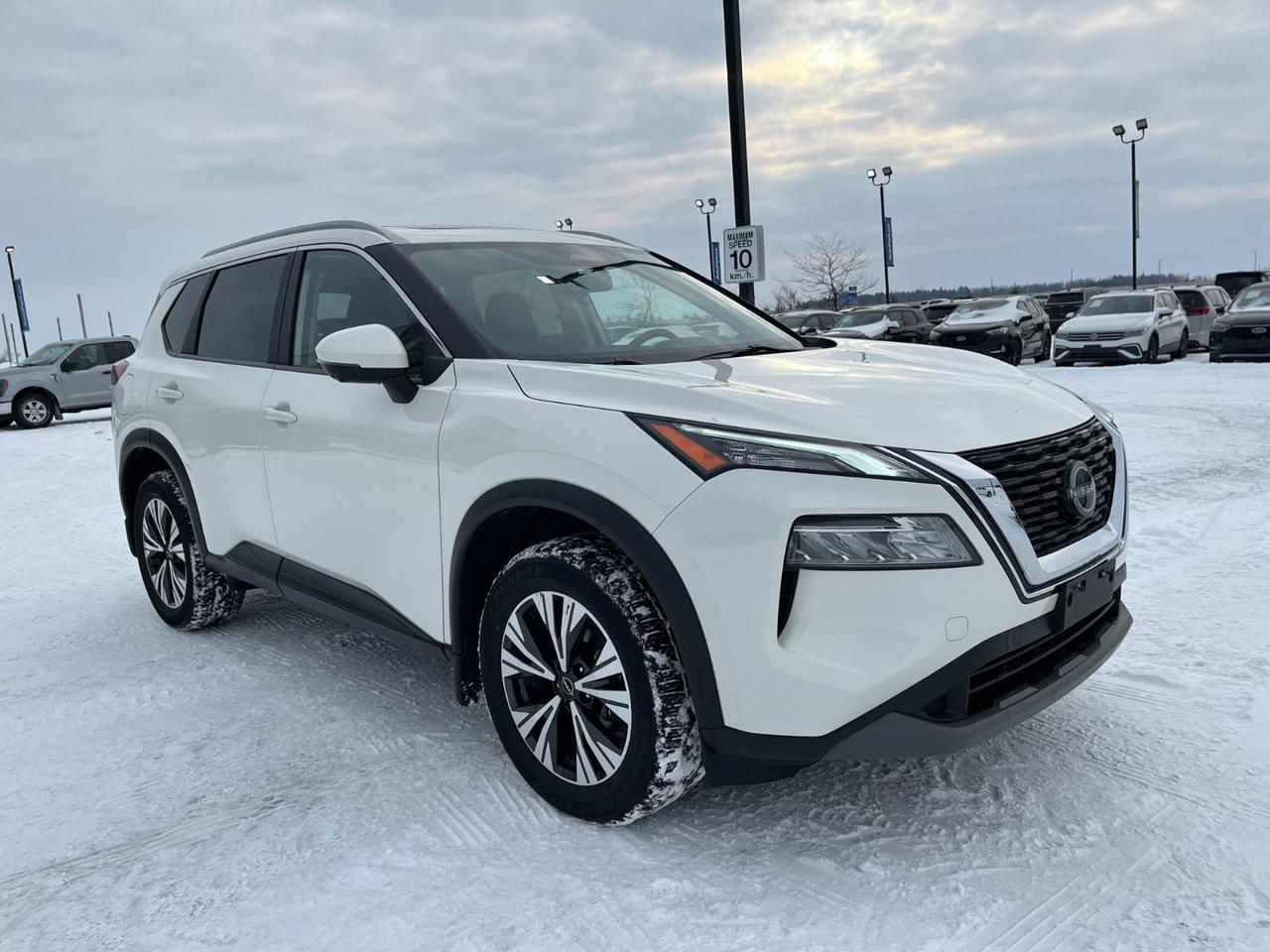 2023 Nissan Rogue SV AWD MOONROOF Photo3