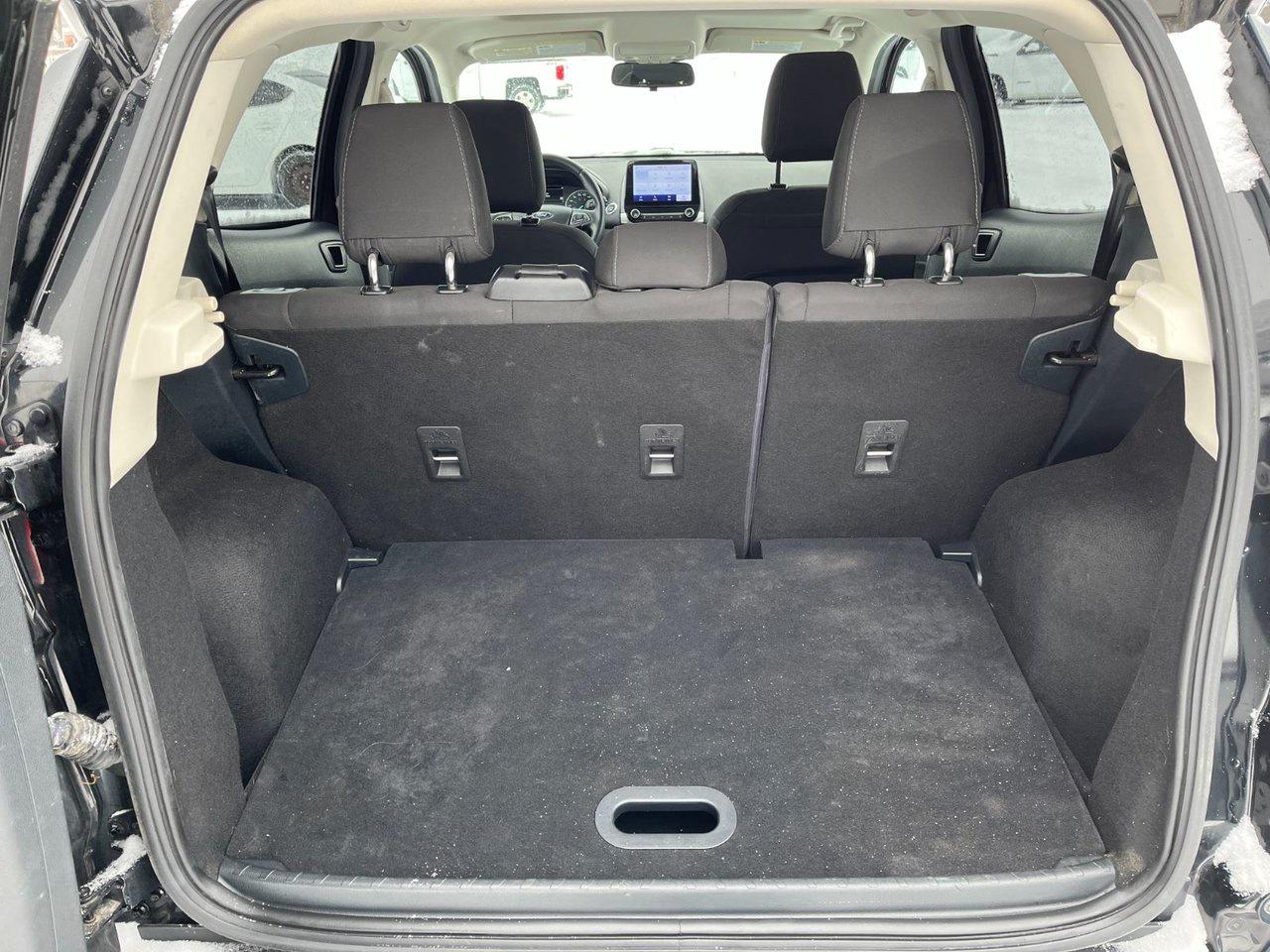 2020 Ford EcoSport SE 4WD Photo