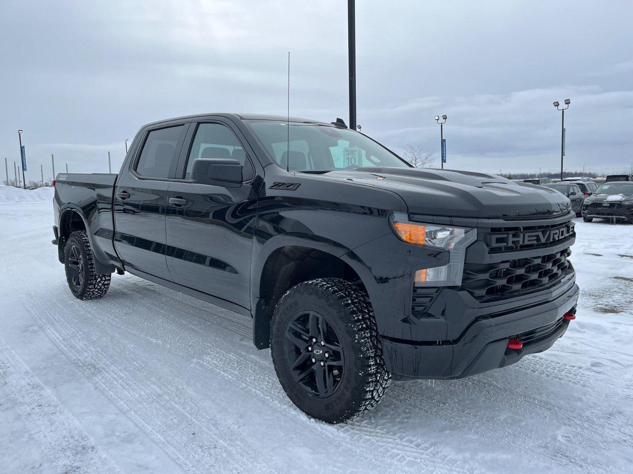 2024 Chevrolet Silverado 1500 4WD Crew Cab 157 Custom Trail Boss Photo