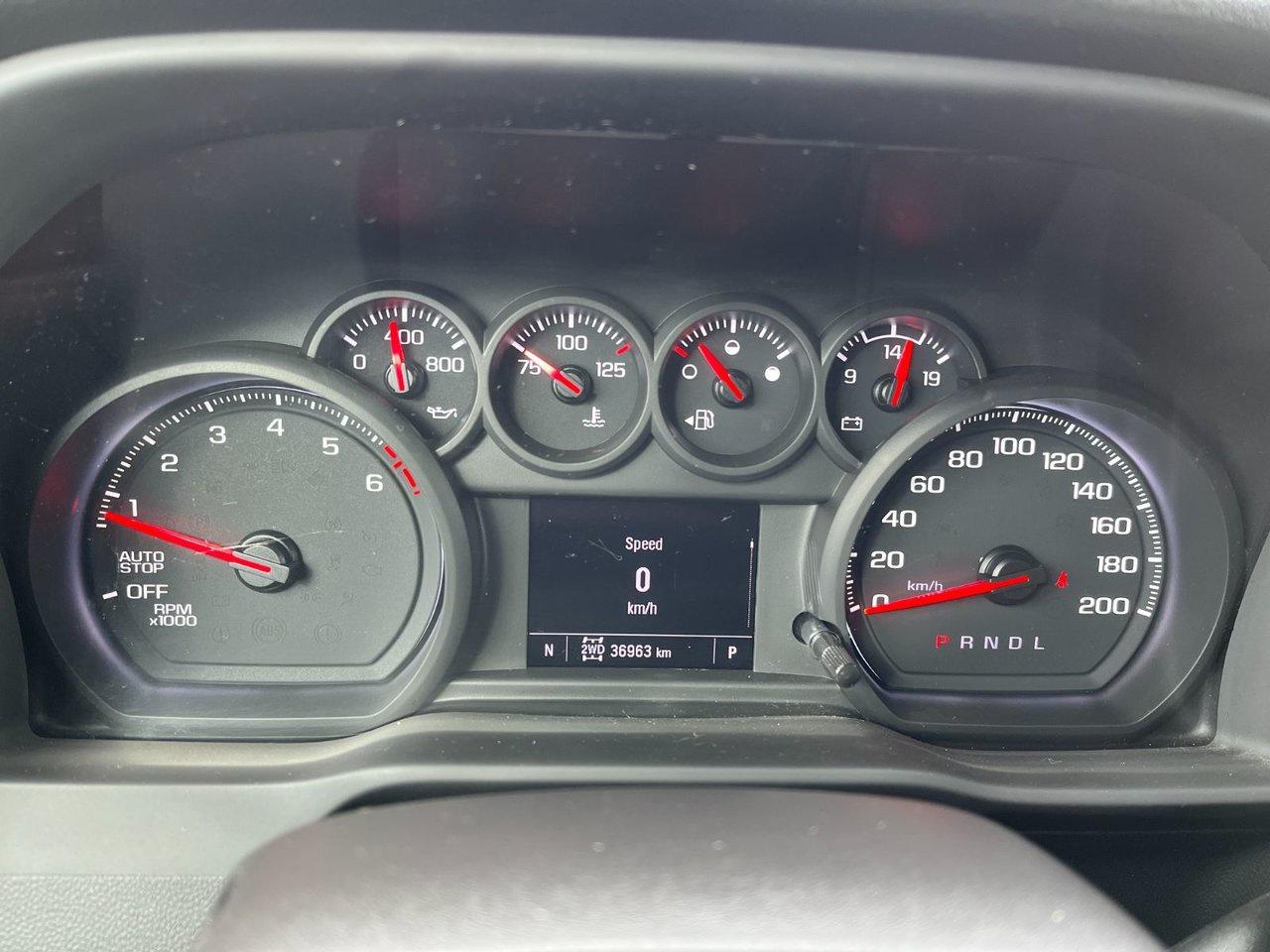 2024 Chevrolet Silverado 1500 4WD Crew Cab 157 Custom Trail Boss Photo