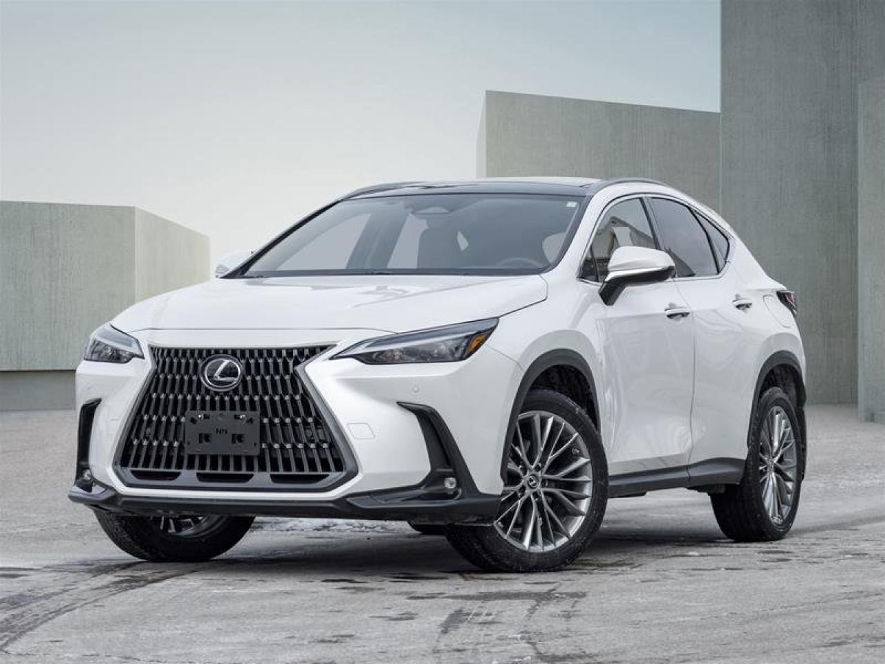 2022 Lexus NX NX 350H Photo0
