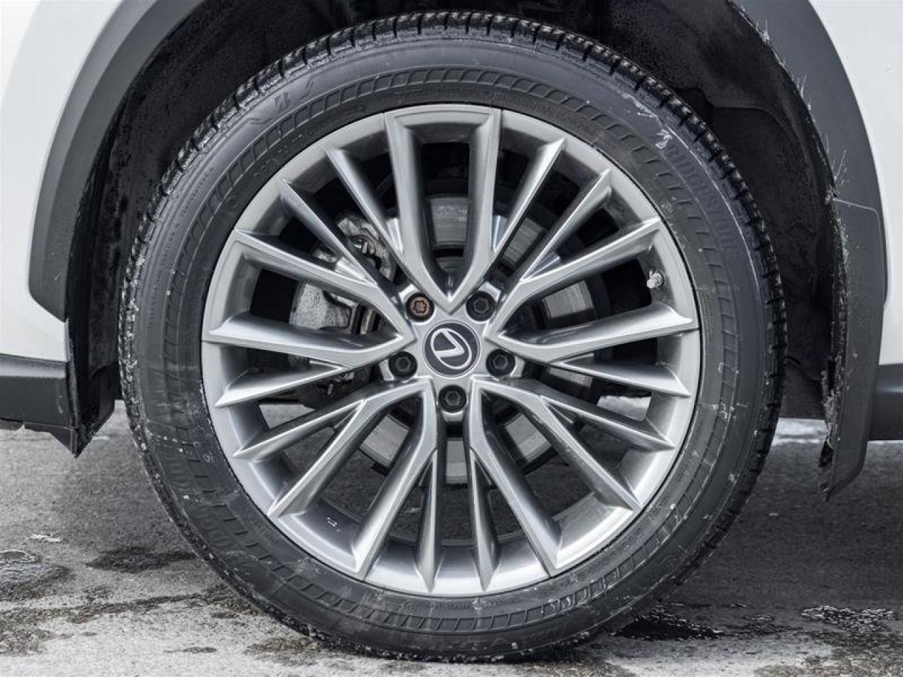 2022 Lexus NX NX 350H Photo