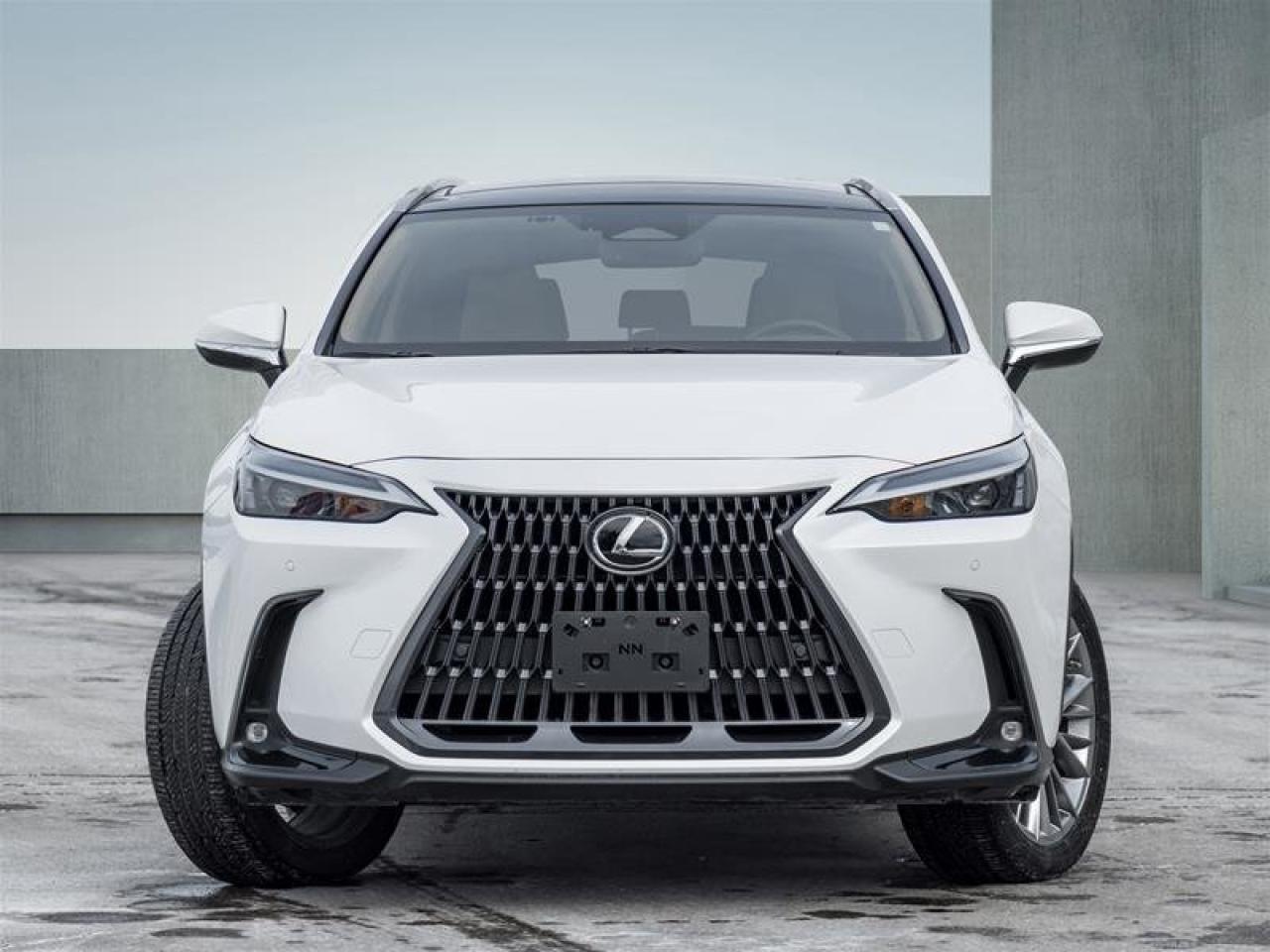 2022 Lexus NX NX 350H Photo