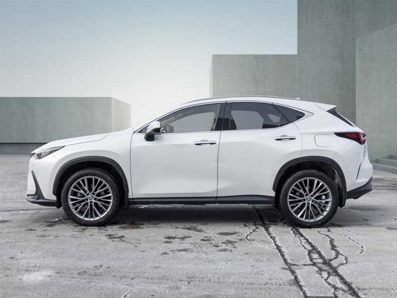 2022 Lexus NX NX 350H Photo2