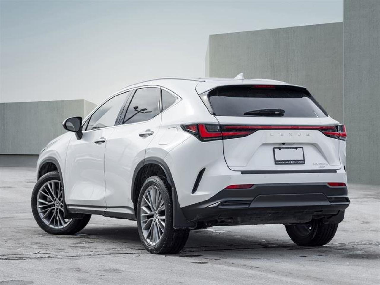 2022 Lexus NX NX 350H Photo4
