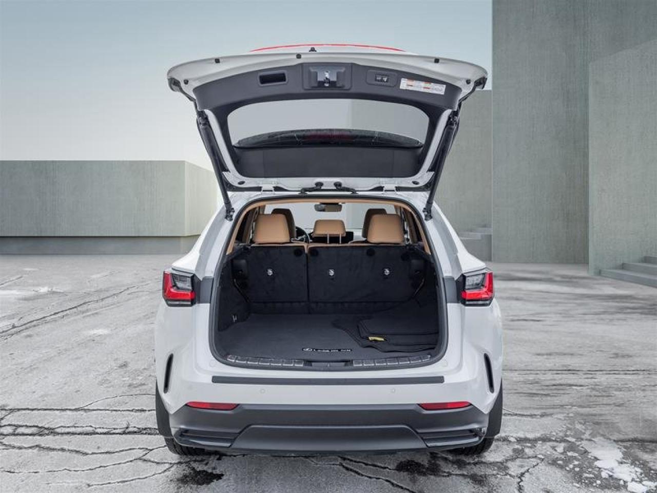 2022 Lexus NX NX 350H Photo