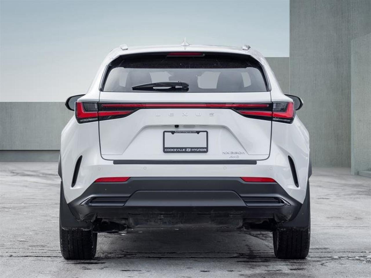 2022 Lexus NX NX 350H Photo