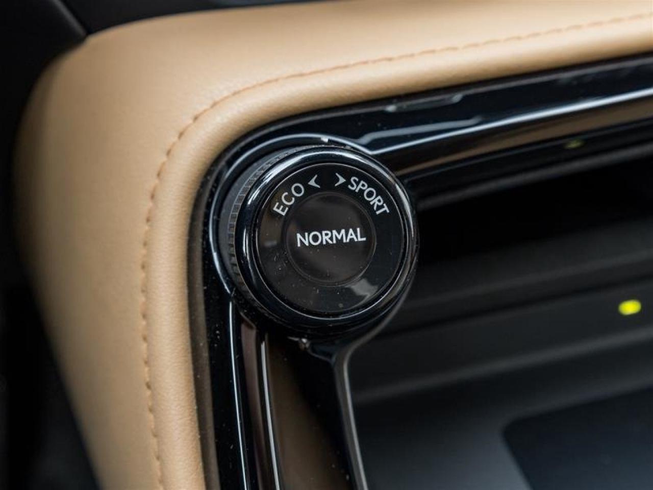 2022 Lexus NX NX 350H Photo