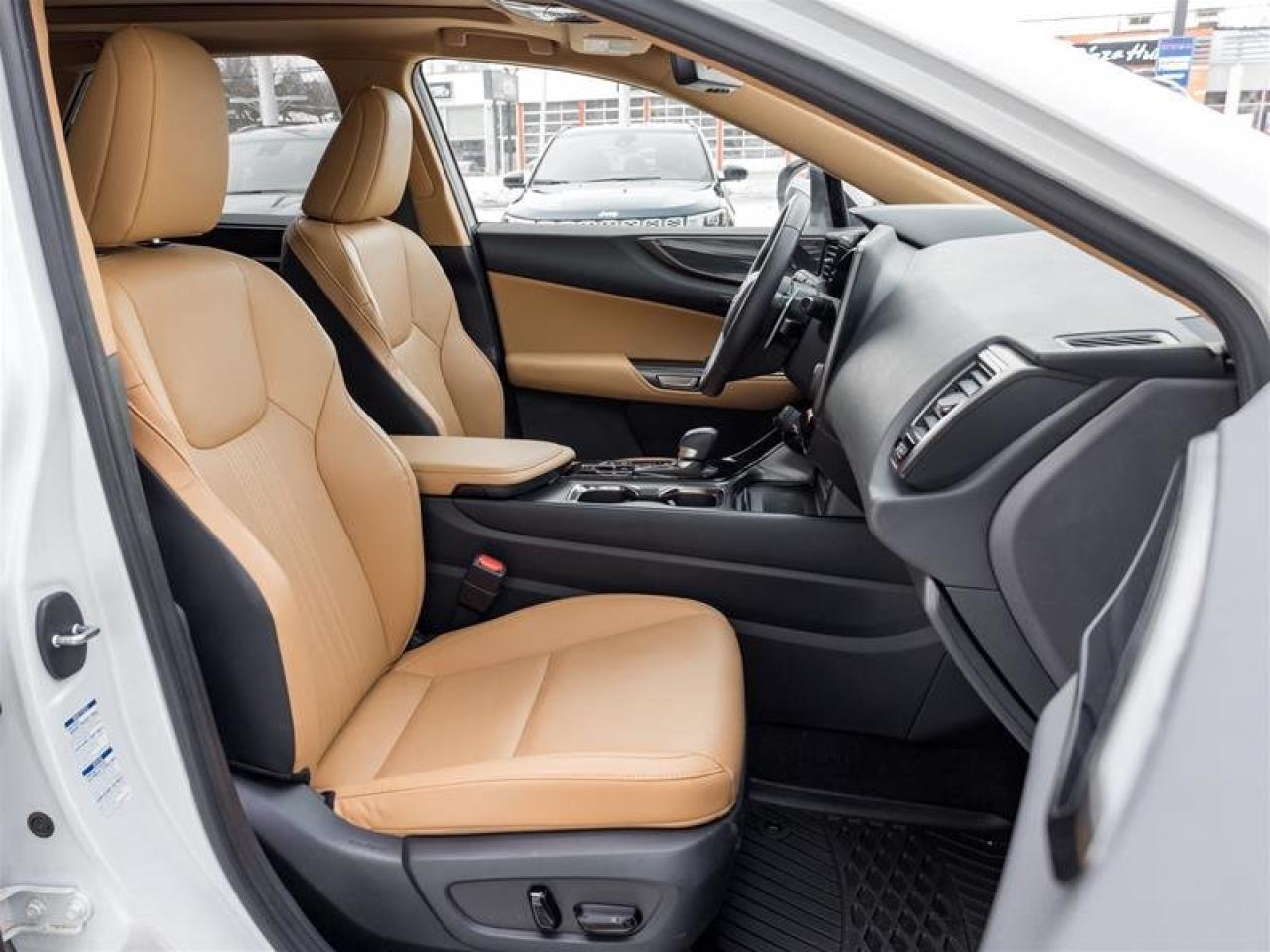 2022 Lexus NX NX 350H Photo