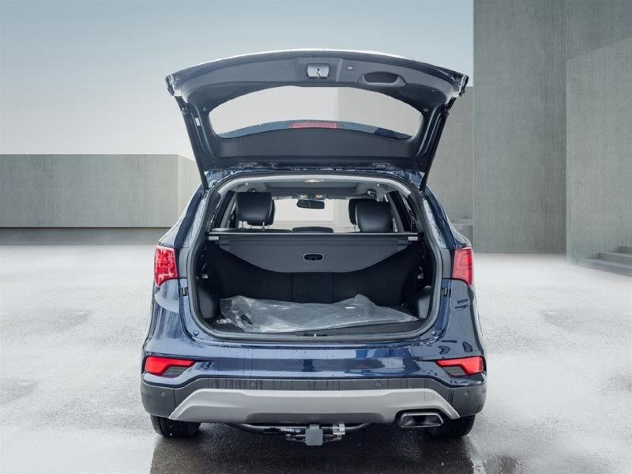 2017 Hyundai Santa Fe Sport Luxury Photo