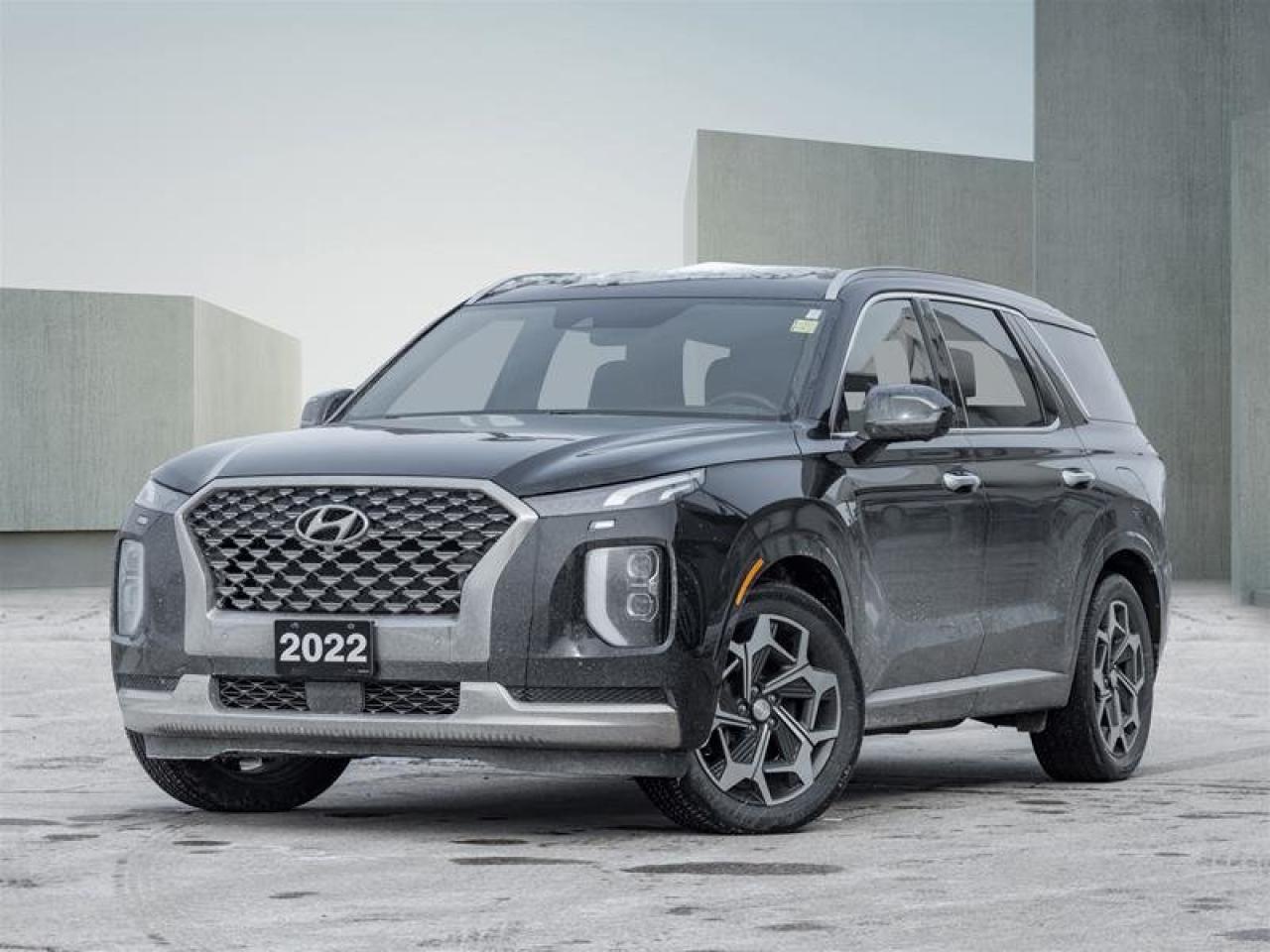2022 Hyundai PALISADE Ultimate Calligraphy Photo