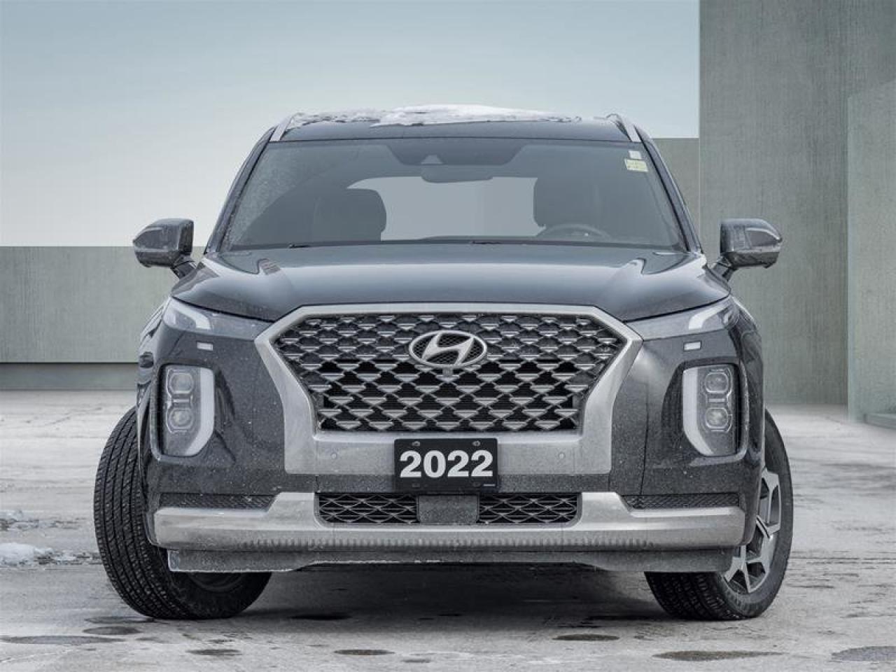 2022 Hyundai PALISADE Ultimate Calligraphy Photo