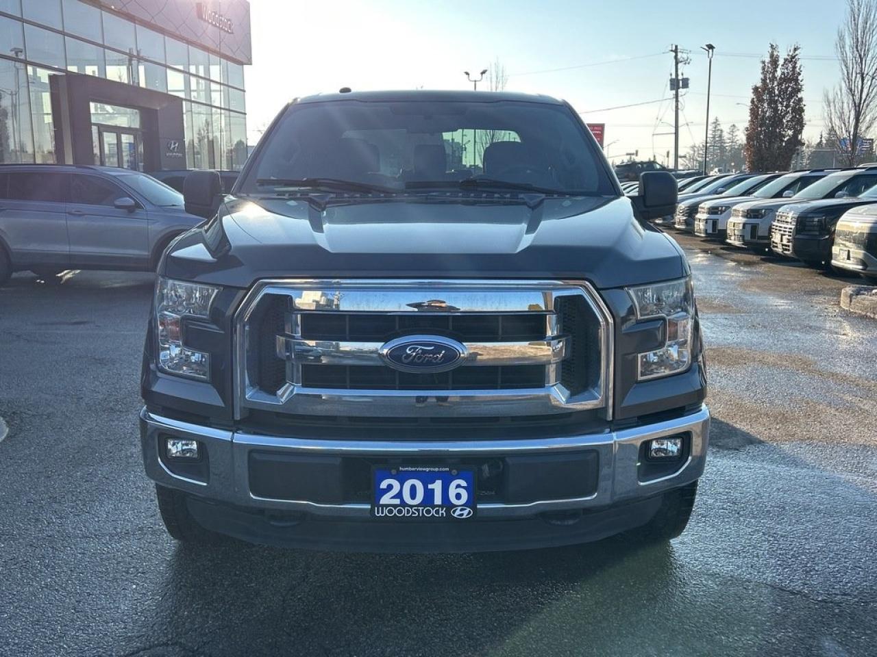 2016 Ford F-150 XLT Photo
