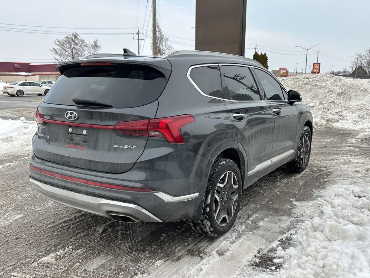 2021 Hyundai Santa Fe Ultimate Calligraphy Photo