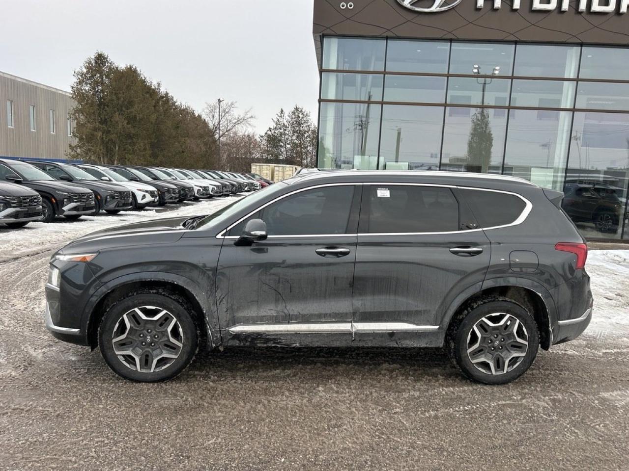 2021 Hyundai Santa Fe Ultimate Calligraphy Photo