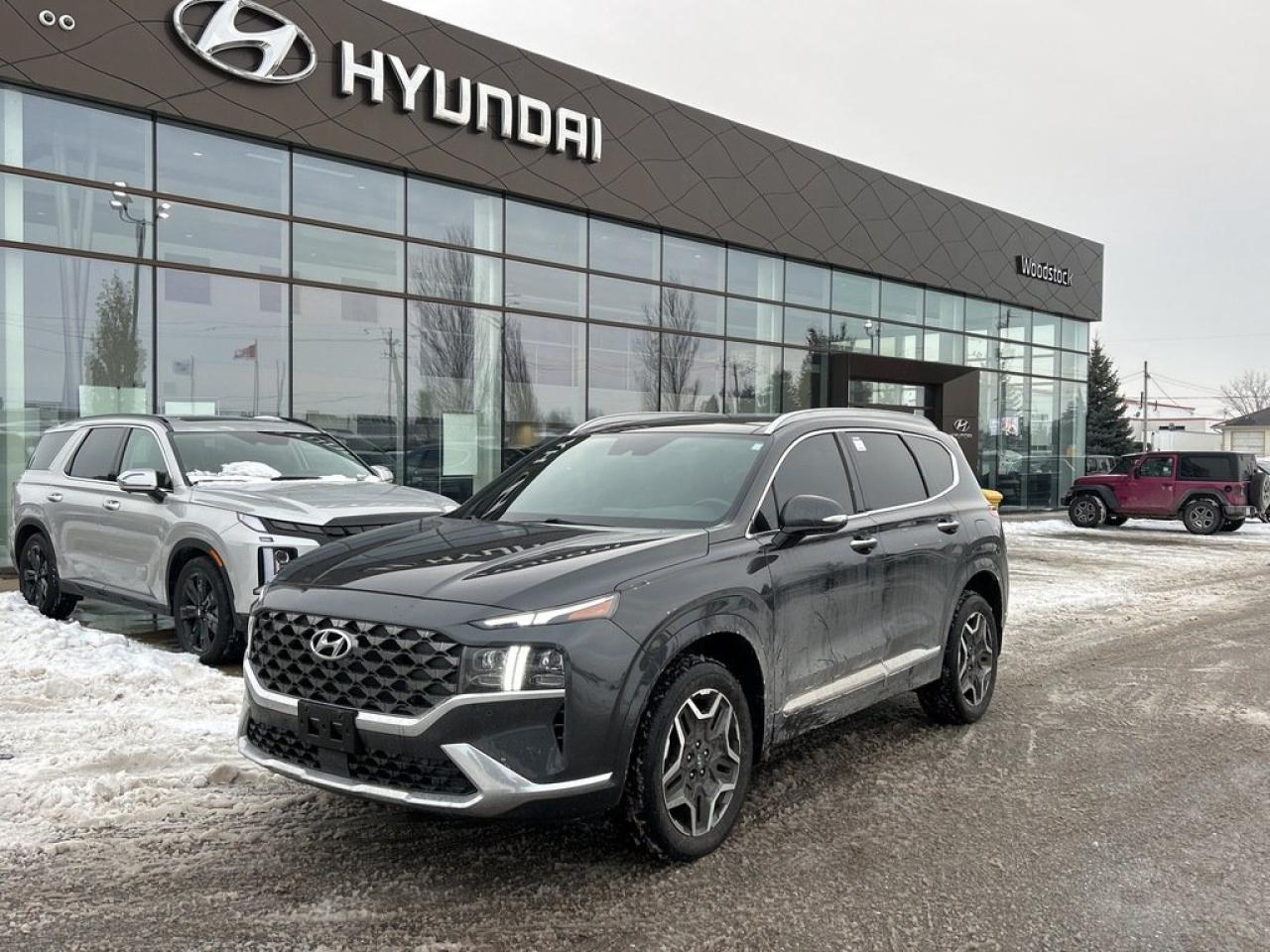 2021 Hyundai Santa Fe Ultimate Calligraphy Photo0