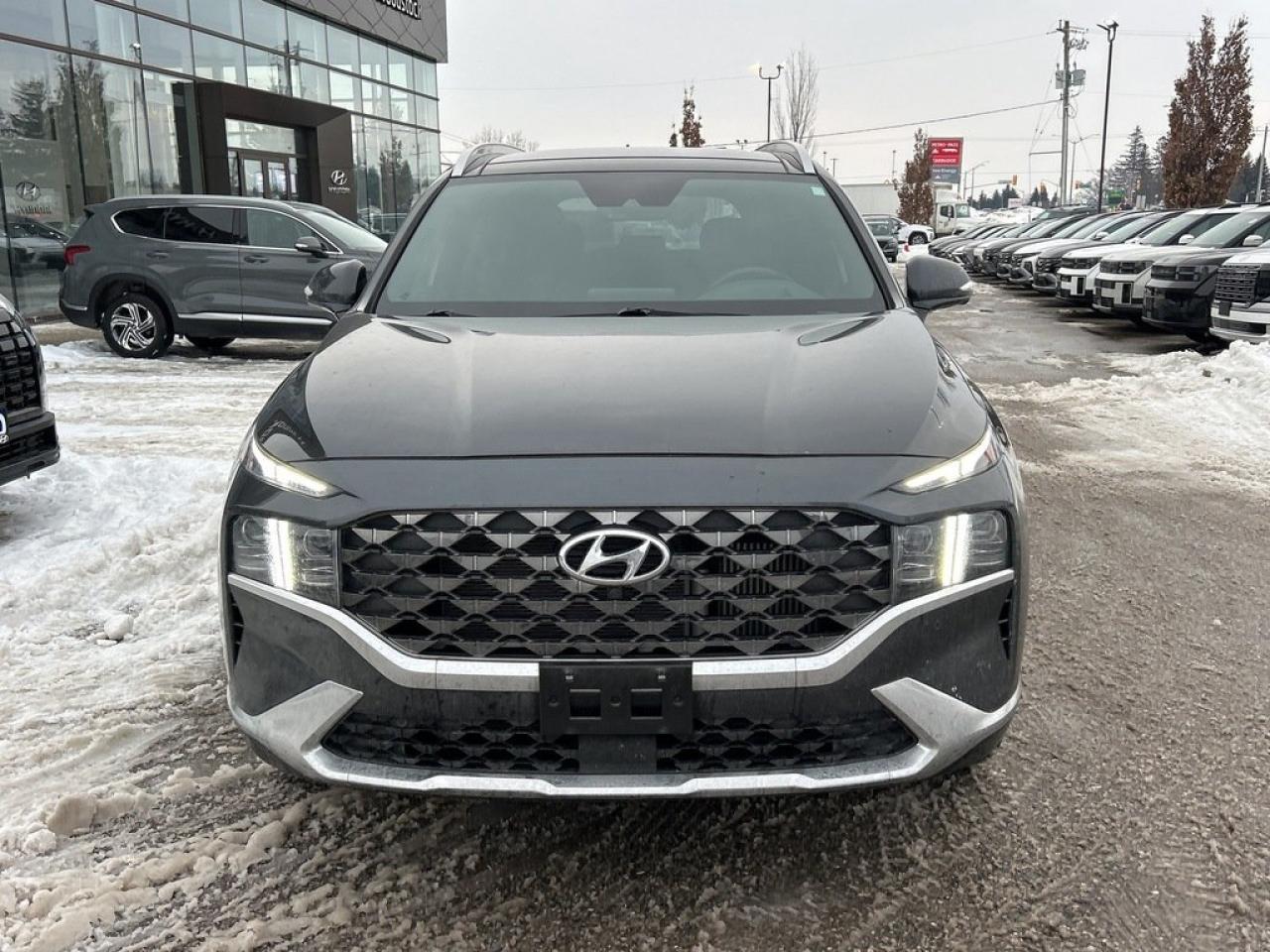 2021 Hyundai Santa Fe Ultimate Calligraphy Photo