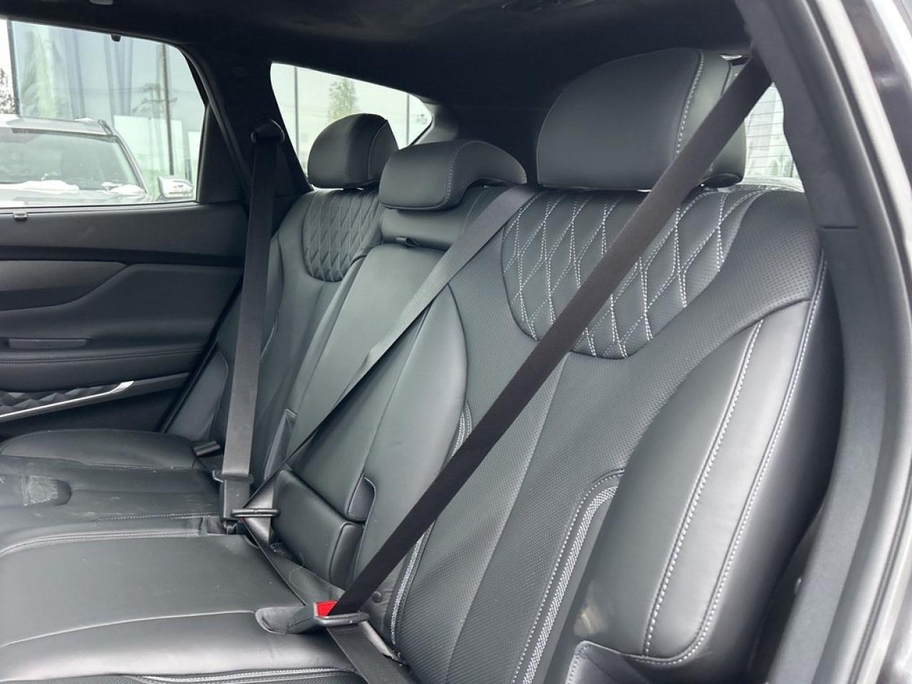 2021 Hyundai Santa Fe Ultimate Calligraphy Photo