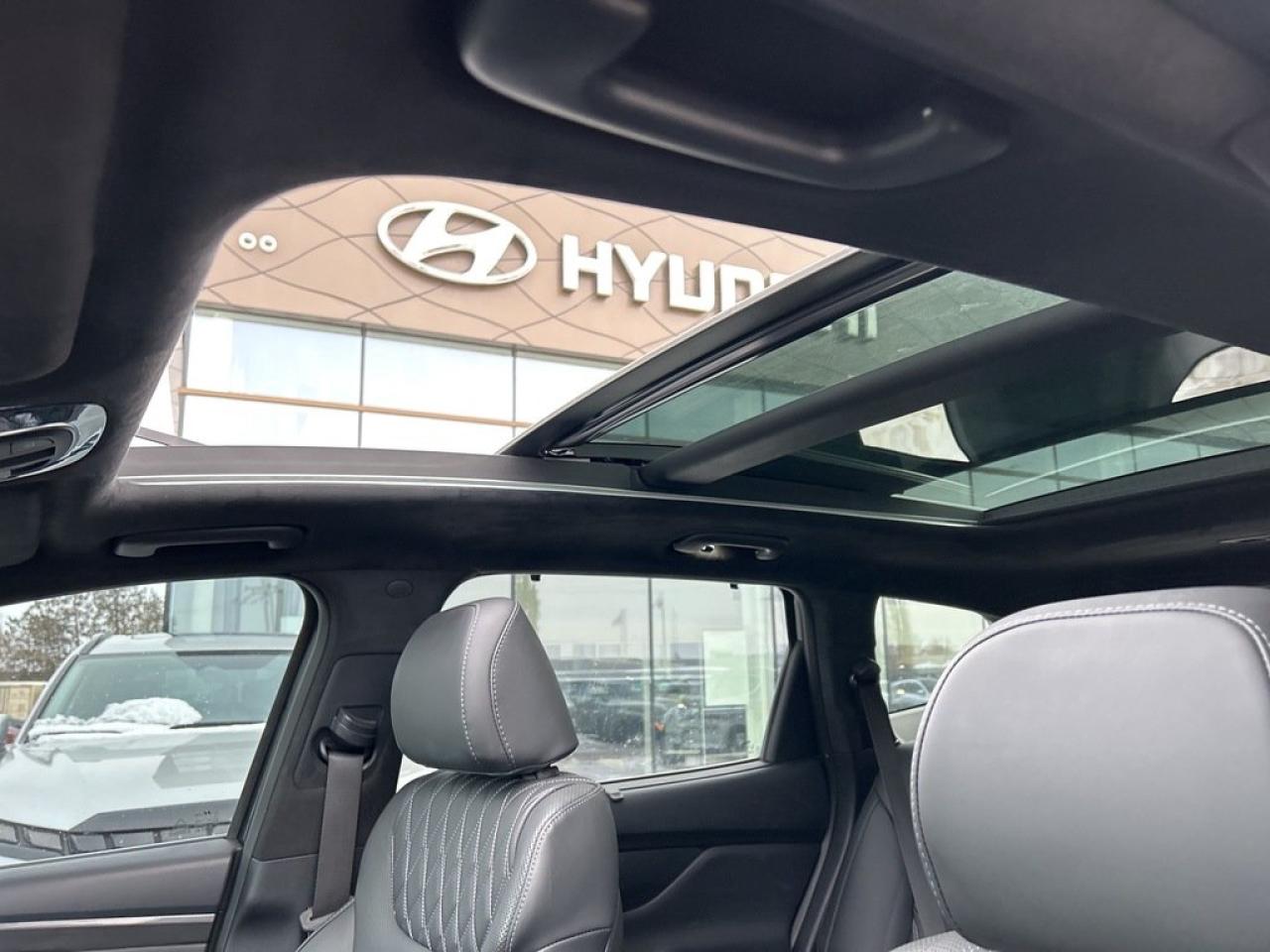 2021 Hyundai Santa Fe Ultimate Calligraphy Photo