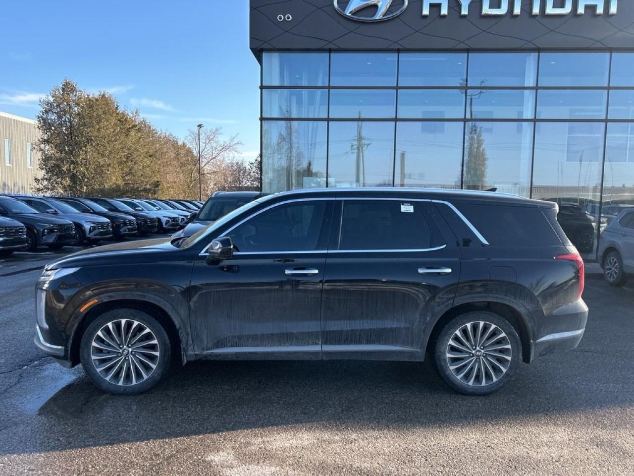 2023 Hyundai PALISADE Ultimate Calligraphy Photo