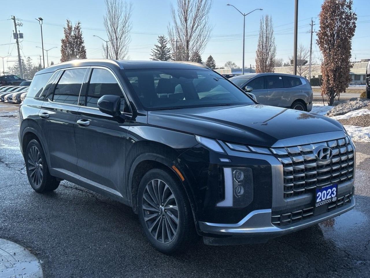 2023 Hyundai PALISADE Ultimate Calligraphy Photo