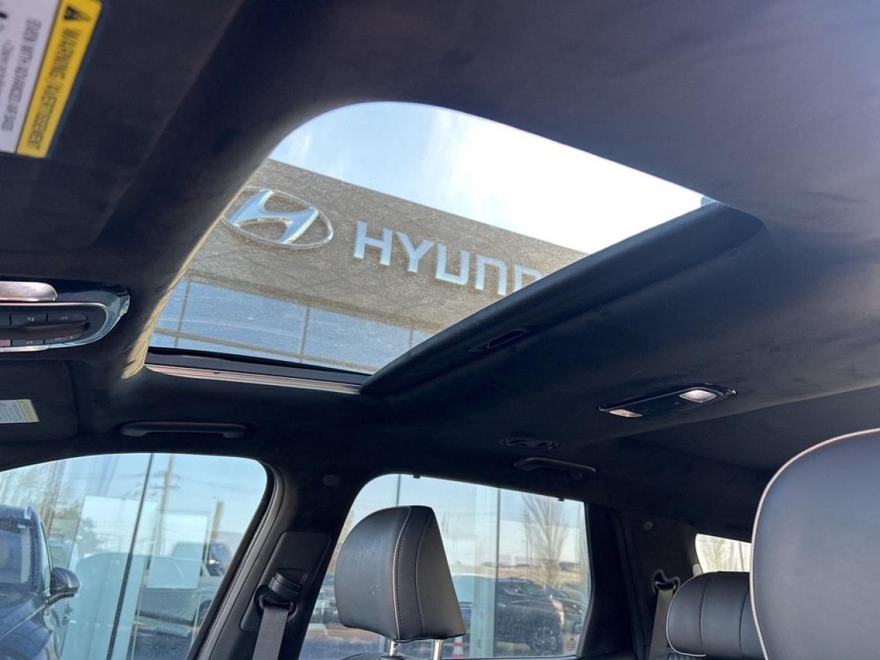 2023 Hyundai PALISADE Ultimate Calligraphy Photo