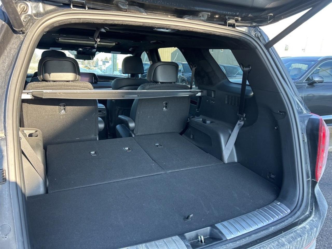 2023 Hyundai PALISADE Ultimate Calligraphy Photo