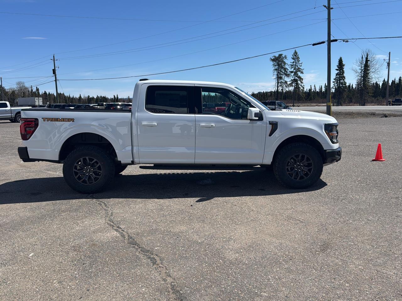 2026 Ford F-150 Tremor Photo