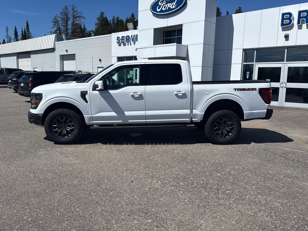 2026 Ford F-150 Tremor Photo
