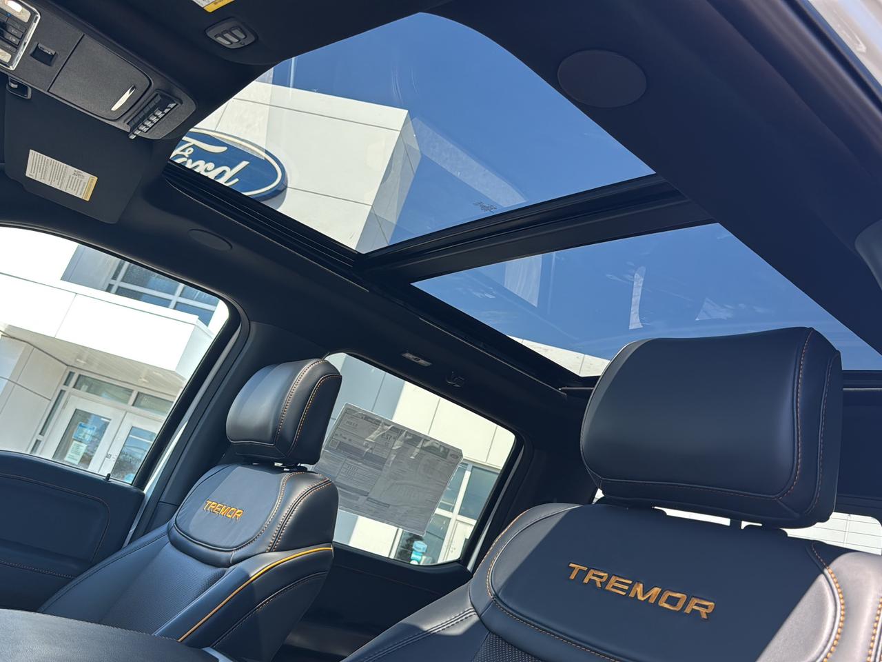 2026 Ford F-150 Tremor Photo