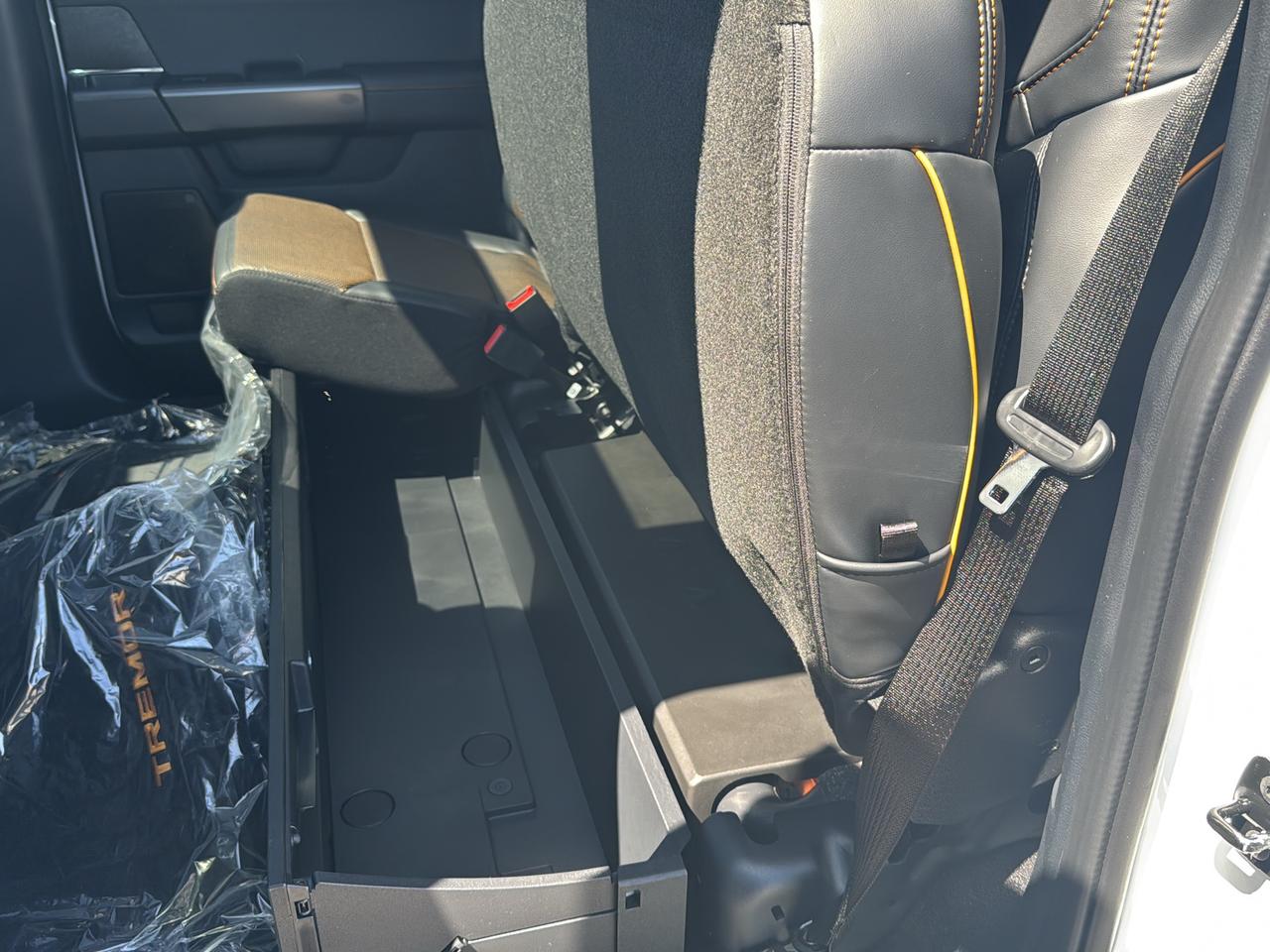 2026 Ford F-150 Tremor Photo