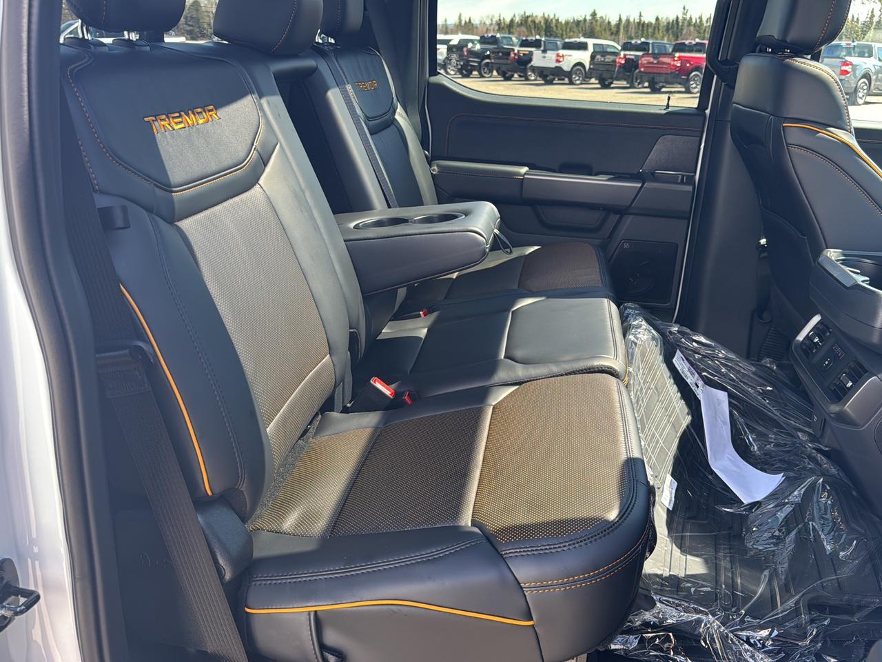 2026 Ford F-150 Tremor Photo