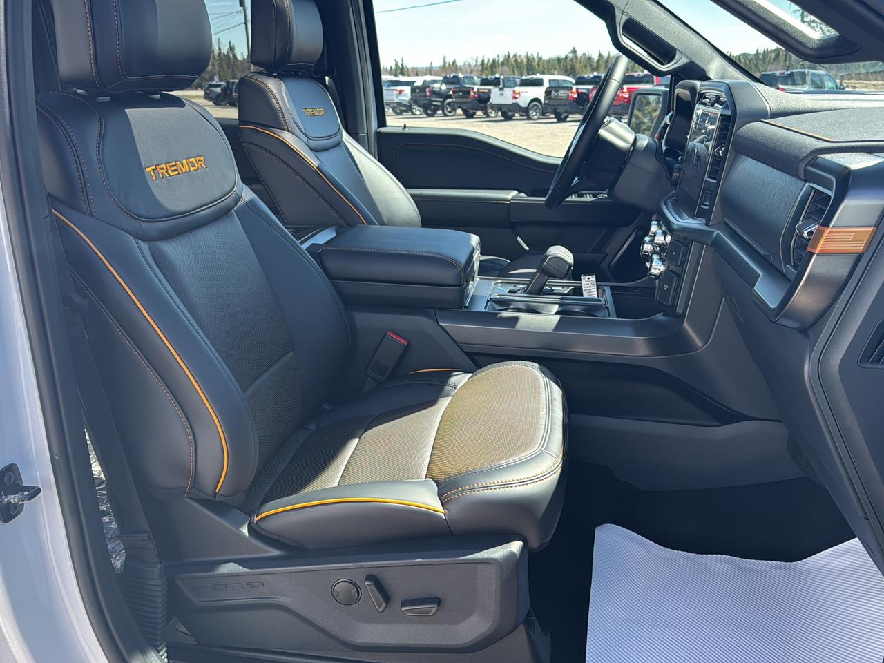 2026 Ford F-150 Tremor Photo