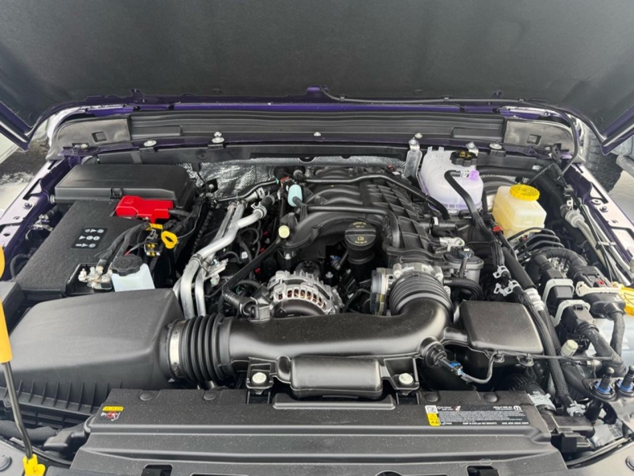 2026 Jeep Wrangler Willys  - Safety Group - Freedom Top Photo