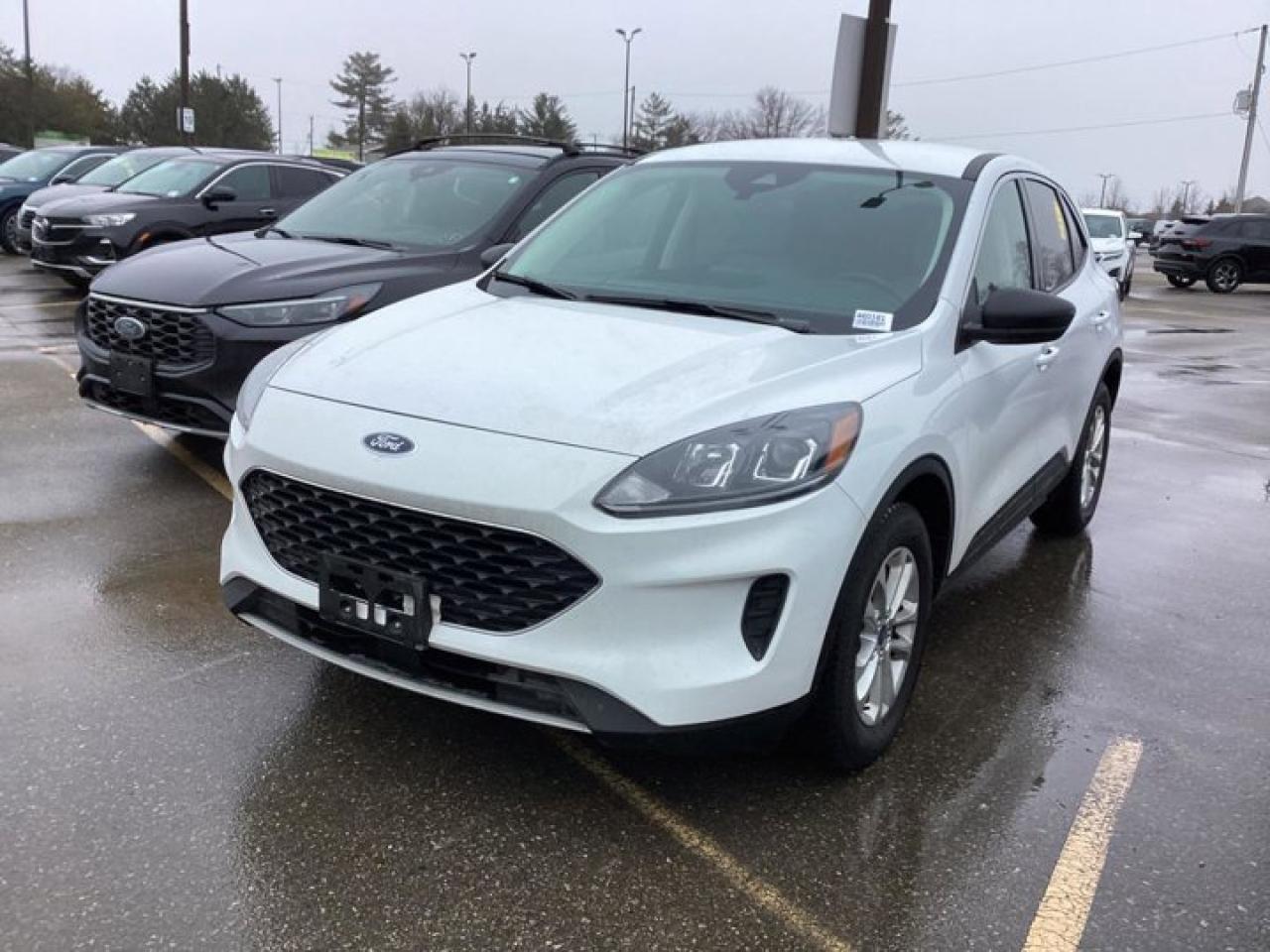 2022 Ford Escape SE AWD Photo