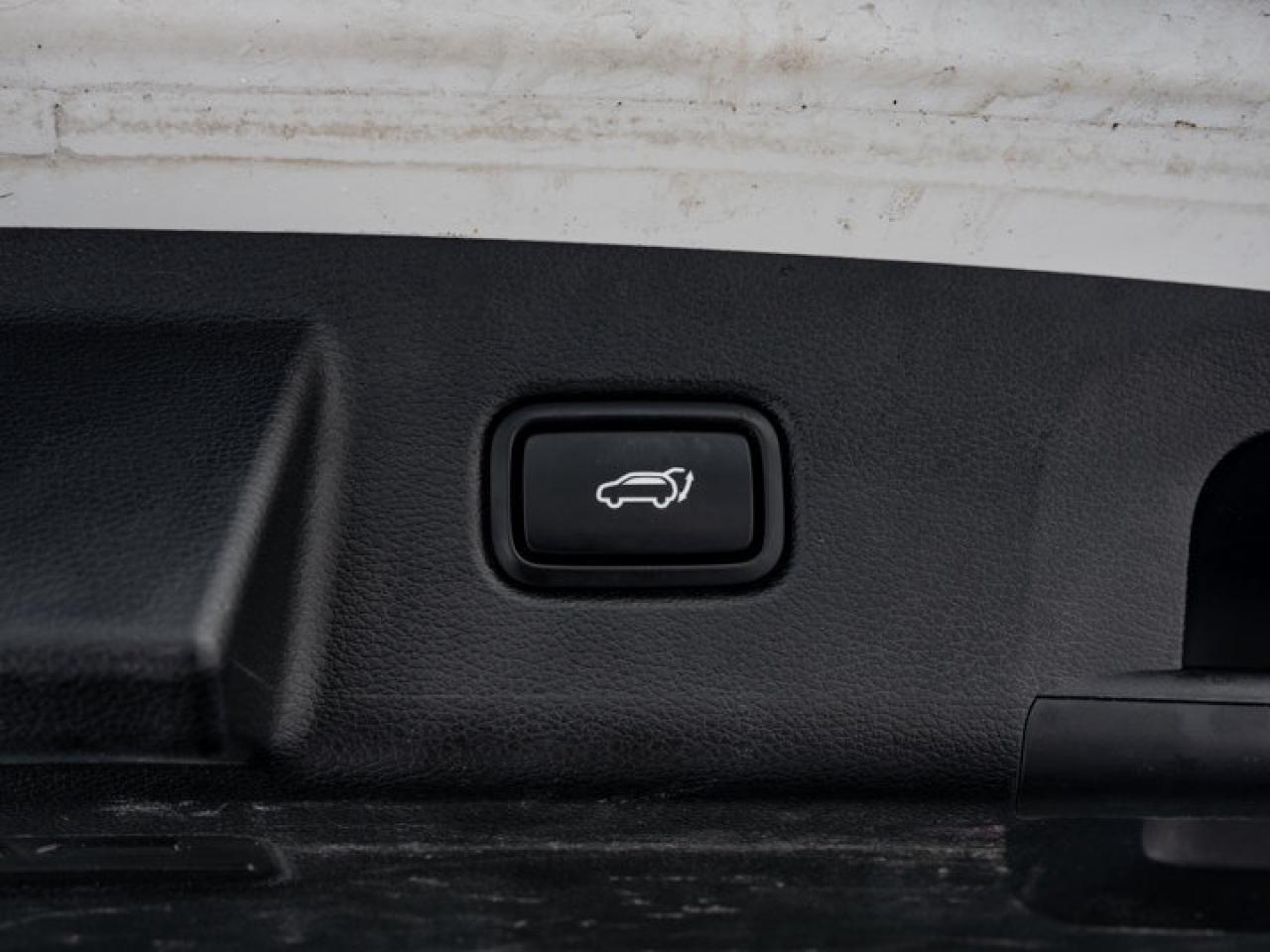 2020 Kia Telluride EX Photo