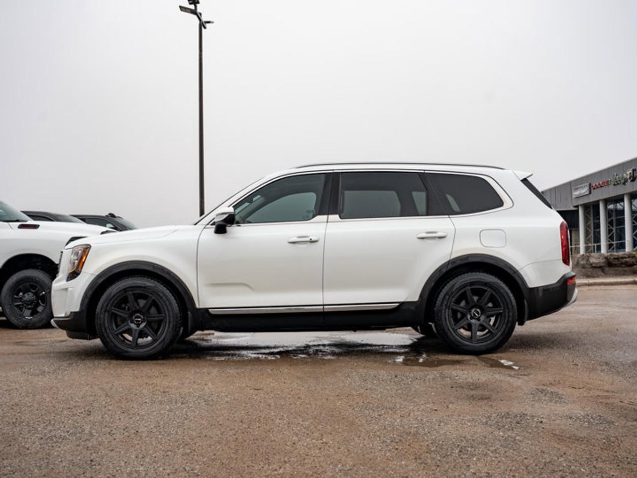 2020 Kia Telluride EX Photo4