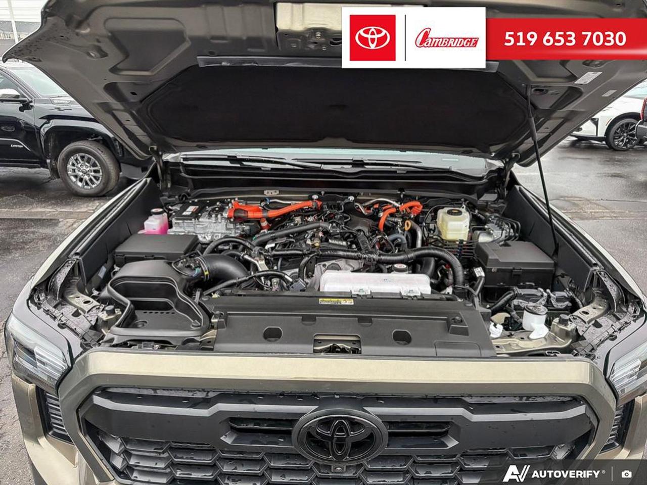 2026 Toyota TACOMA HYBRID  Photo