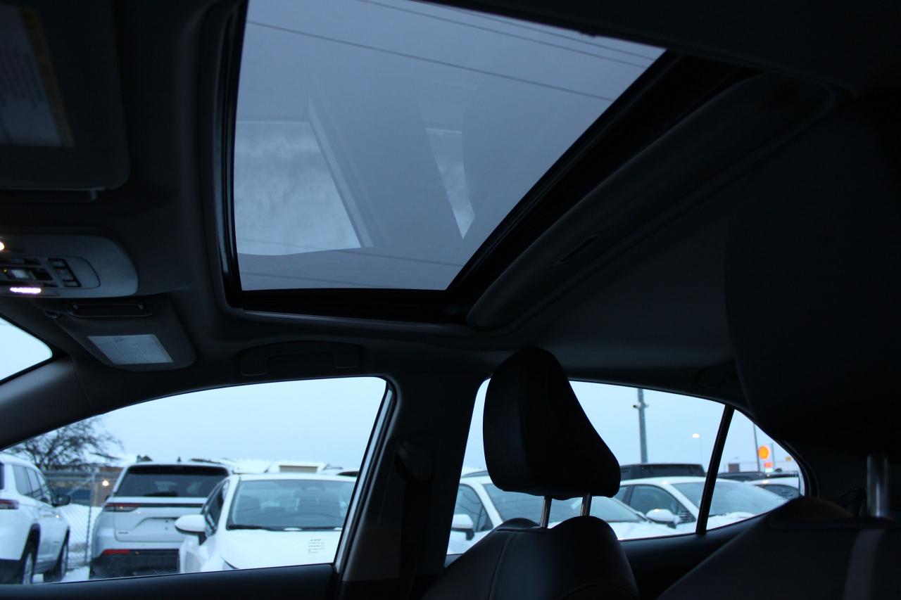 2024 Toyota Camry HYBRID SE Photo