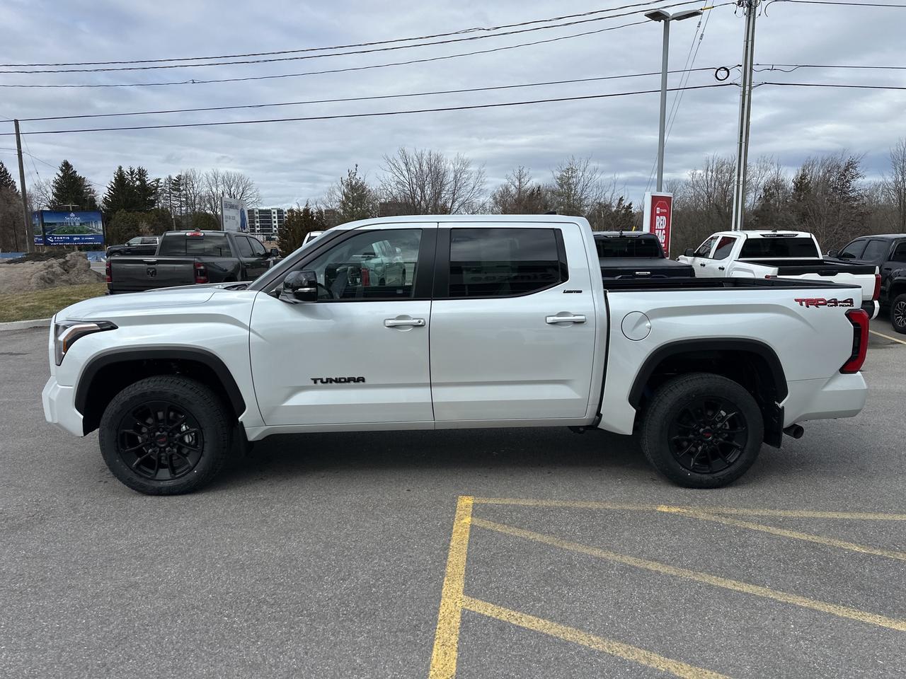 2026 Toyota Tundra Limited  Photo