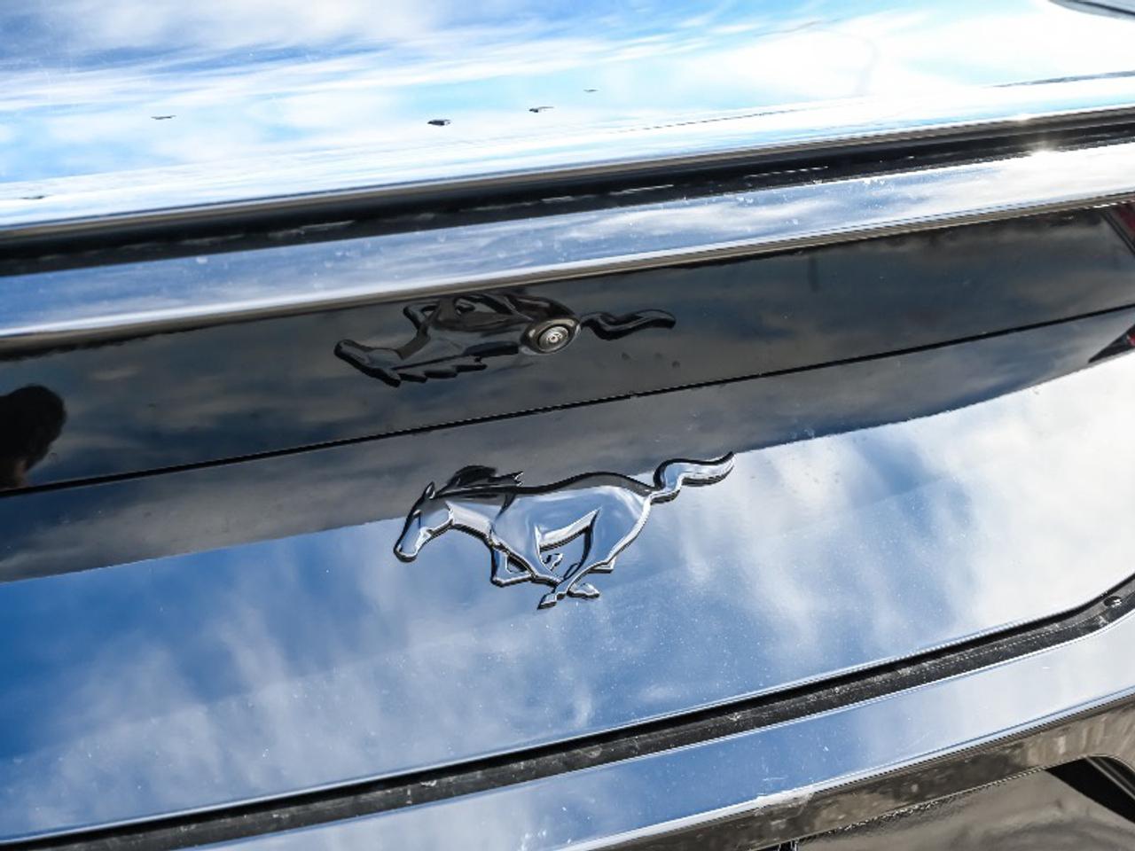 2026 Ford Mustang EcoBoost Photo