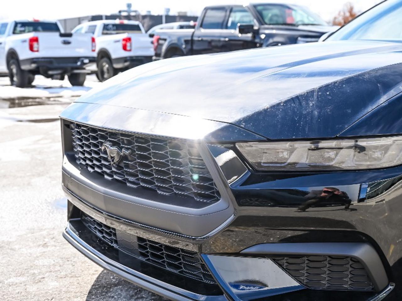 2026 Ford Mustang EcoBoost Photo