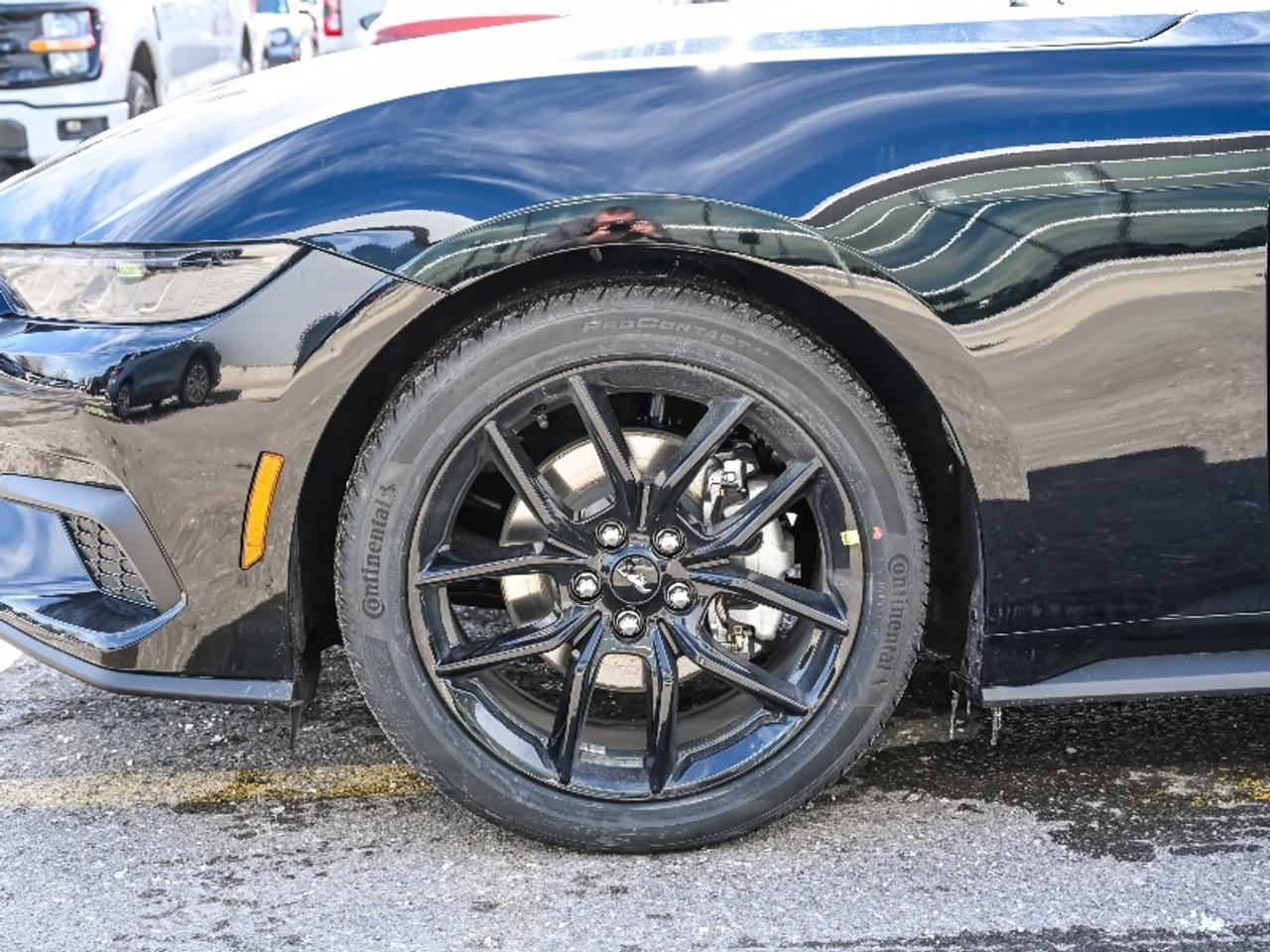 2026 Ford Mustang EcoBoost Photo