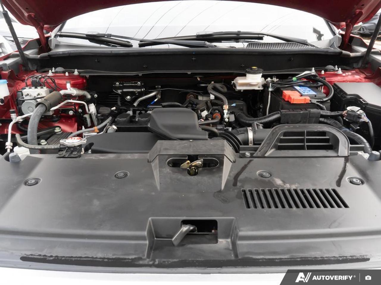 2024 Honda CR-V  Photo