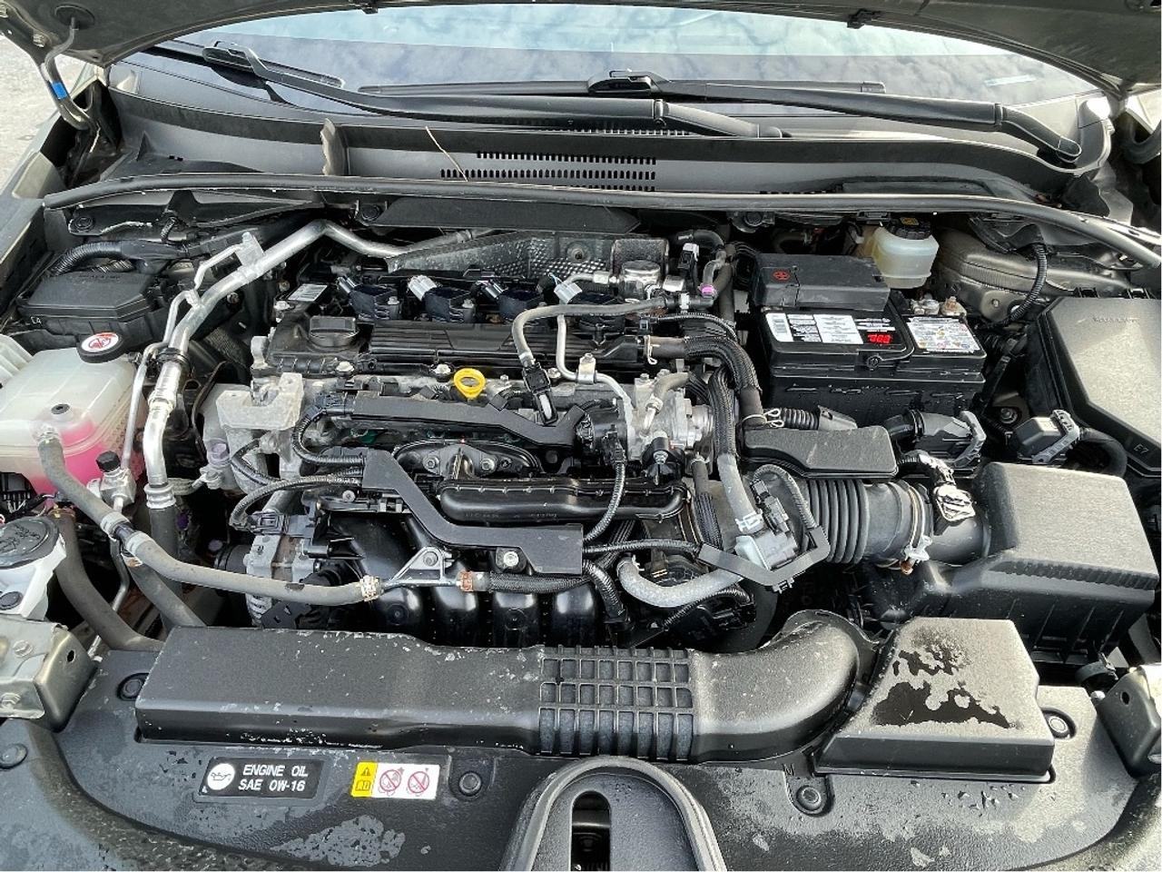 2019 Toyota Corolla Hatchback Base Photo