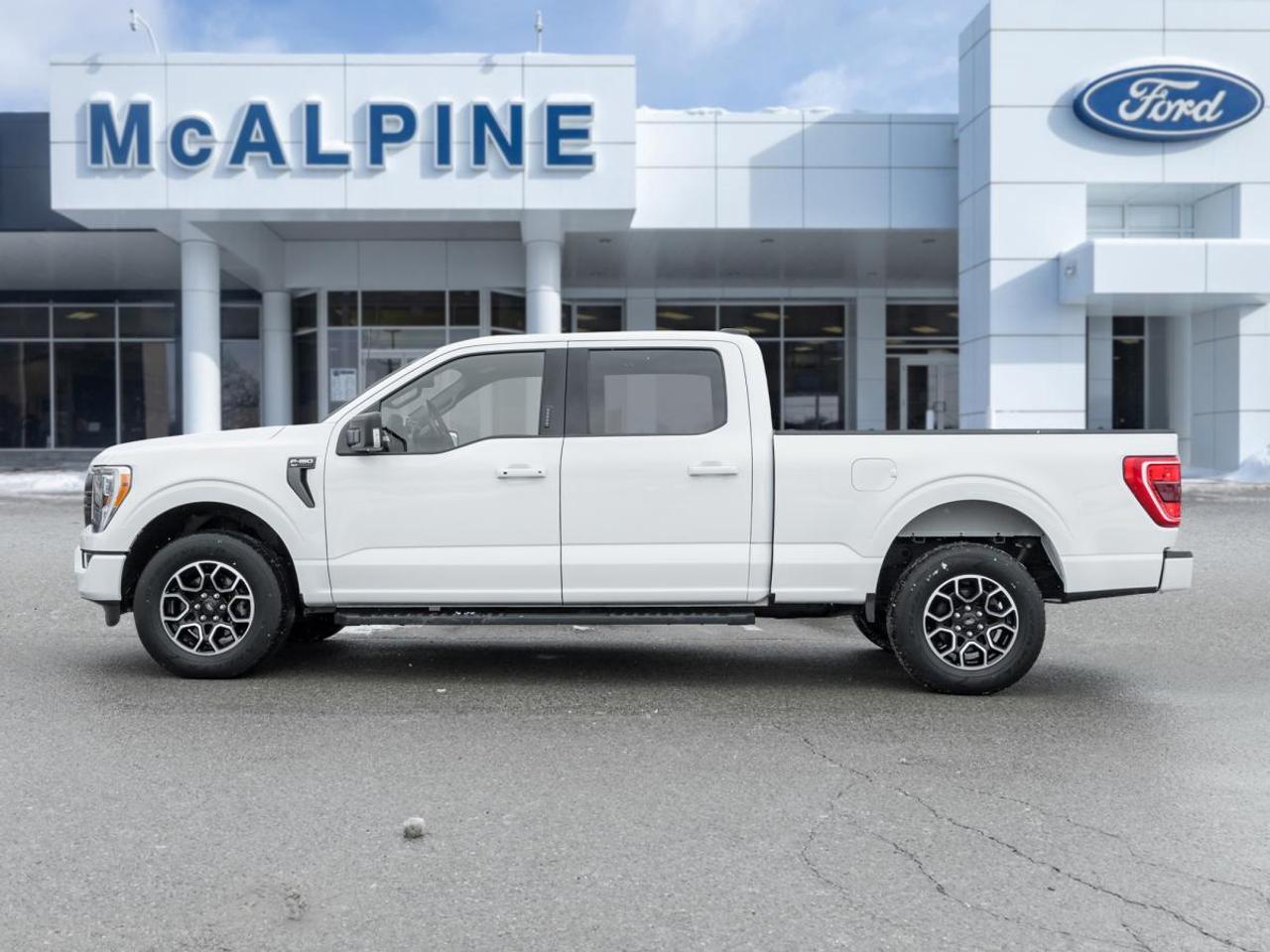 2022 Ford F-150 XL Photo2