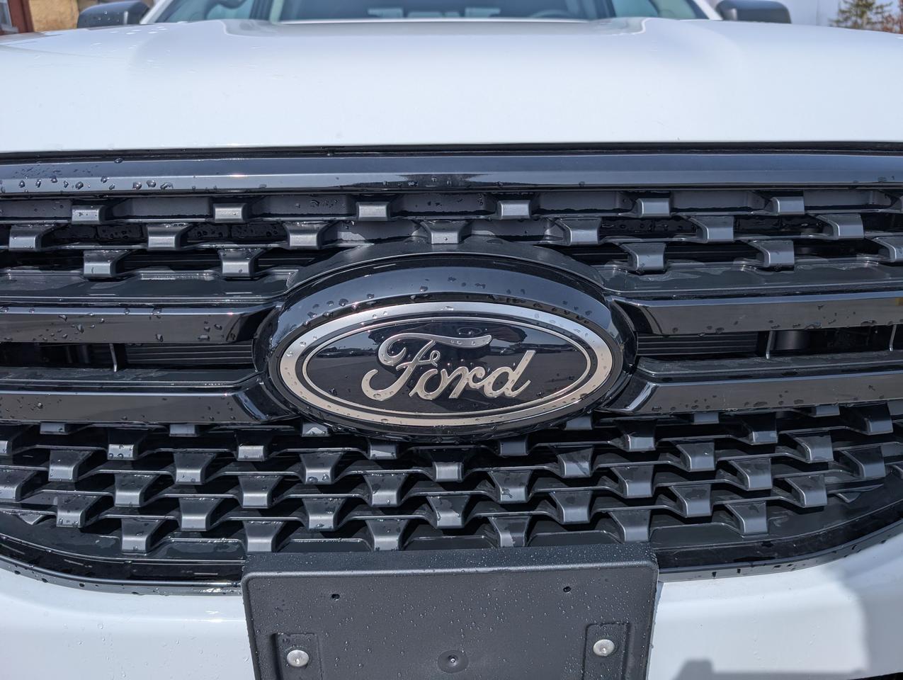 2026 Ford Ranger XLT Crew Cab 4X4 Photo