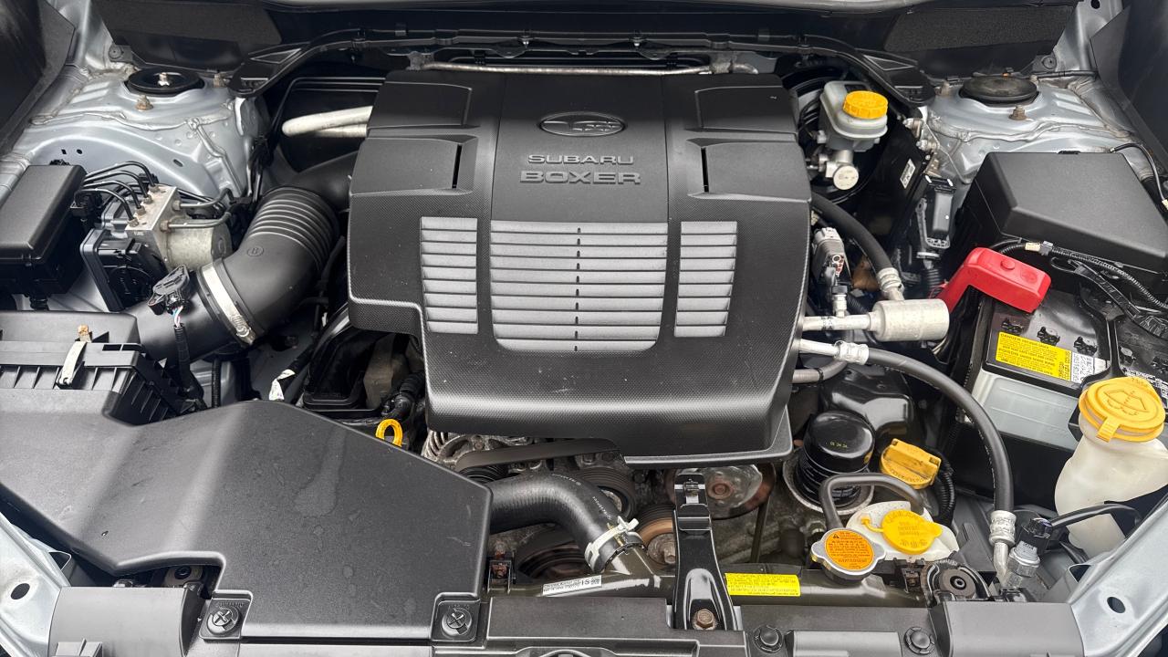 2019 Subaru Forester  Photo