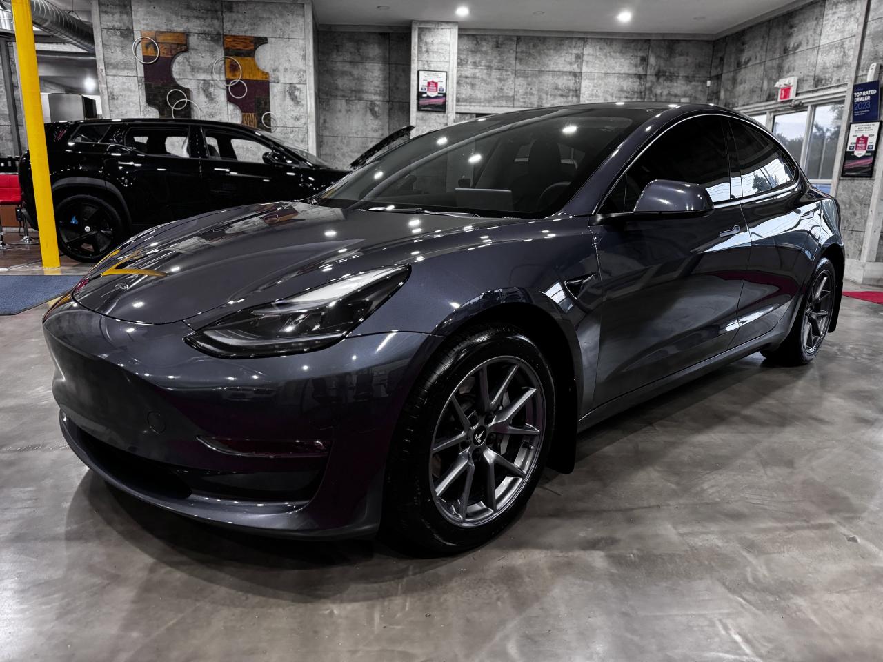2023 Tesla Model 3  Photo